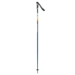 Scott Sun Valley Ski Poles 2023