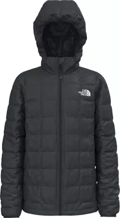 The North Face Thermoball Eco Hoodie - Boys 2022