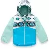 The North Face Snowquest Insulated Ski Jacket - Toddler 2020
