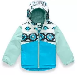 The North Face Snowquest Insulated Ski Jacket - Toddler 2020